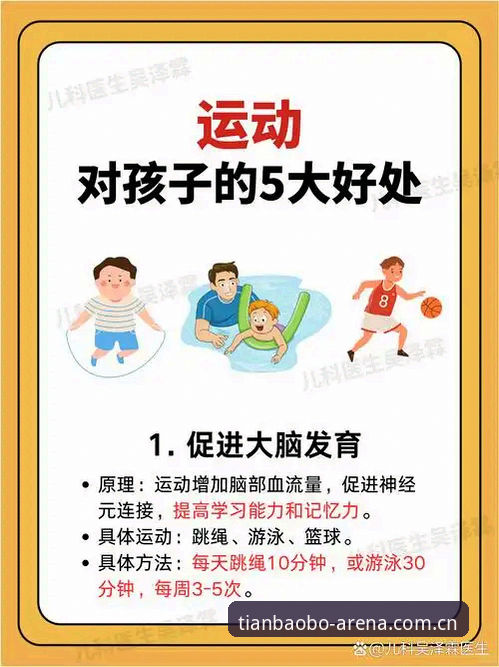 天宝博体育下载与使用完整指南：从入门到精通的深度解析